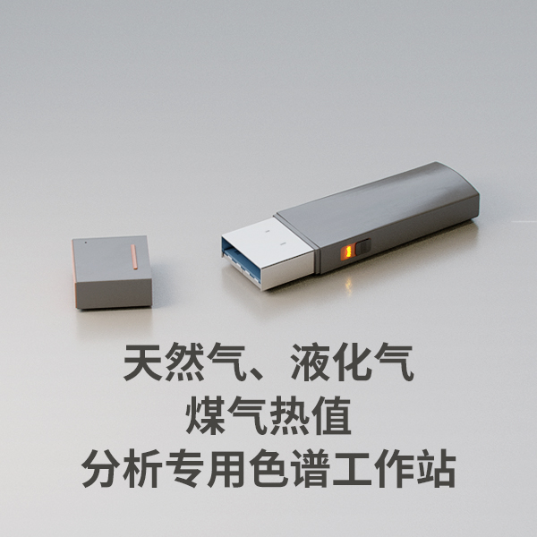 天然氣、液化氣、煤氣熱值分析專(zhuān)用色譜工作站